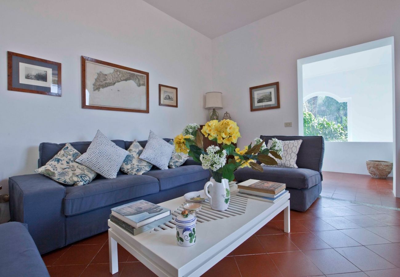 Villa a Massa Lubrense - Villa Carlo with historic tower and sea view