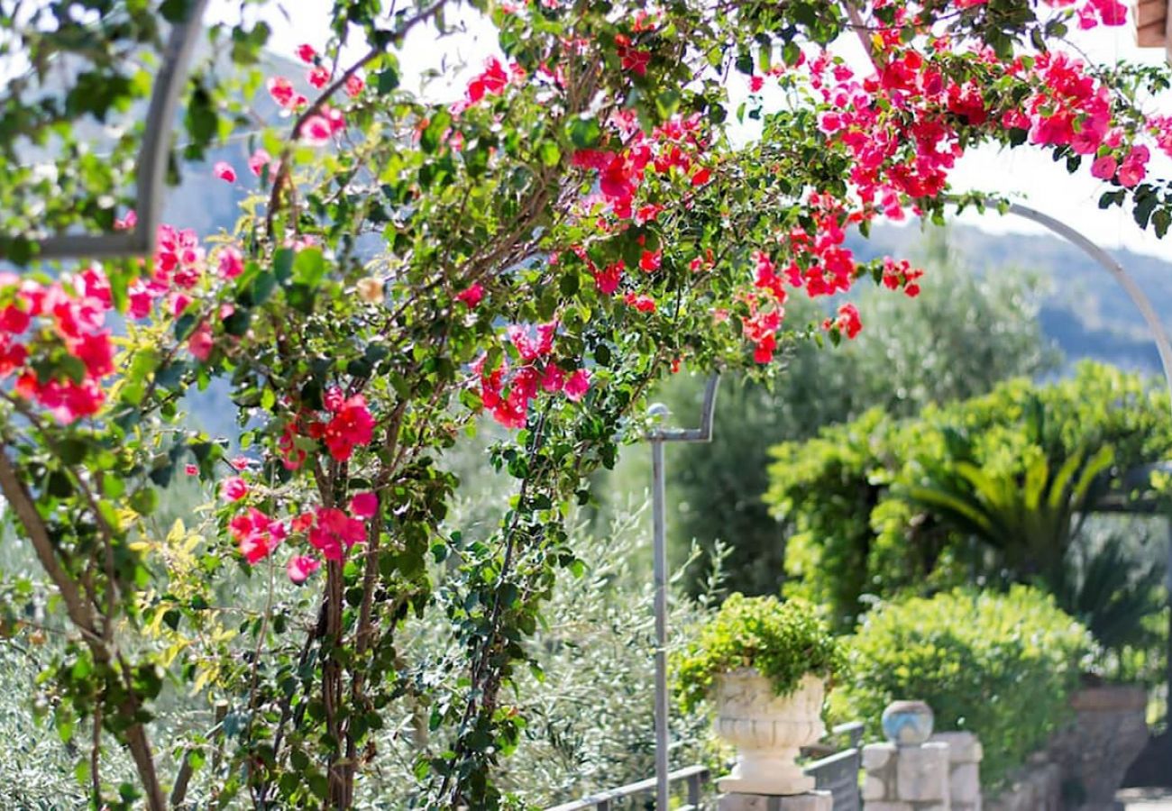 Villa a Massa Lubrense - Villa Simba with sea view and private pool