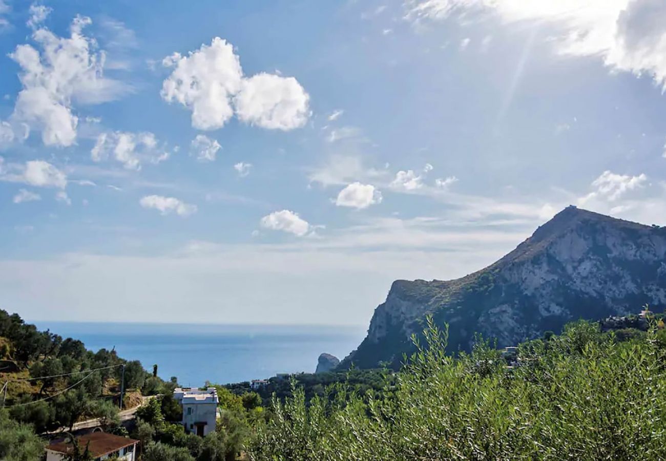 Villa a Massa Lubrense - Villa Simba with sea view and private pool