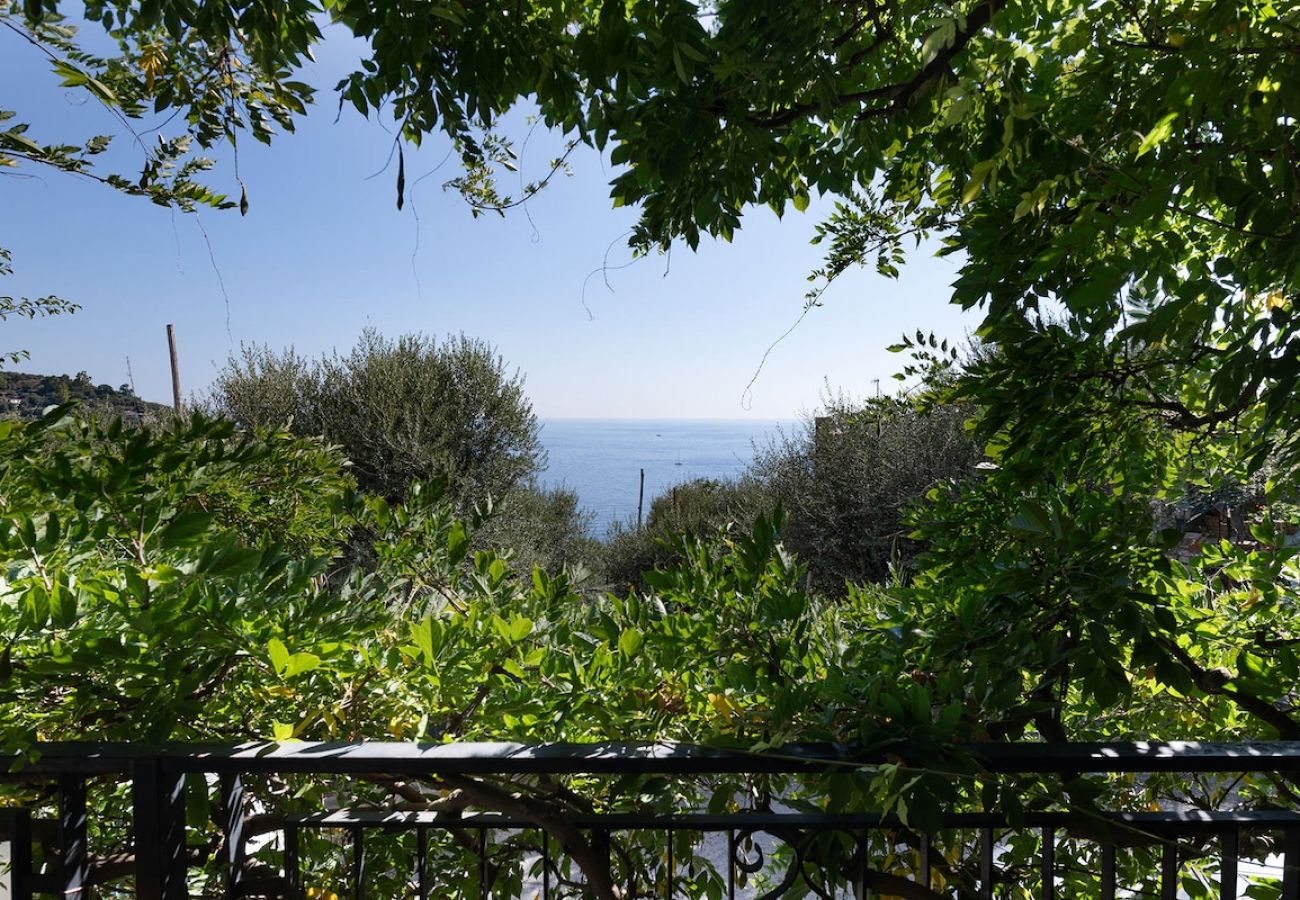 Villa a Nerano - Villa Marinella close to the sea with private pool