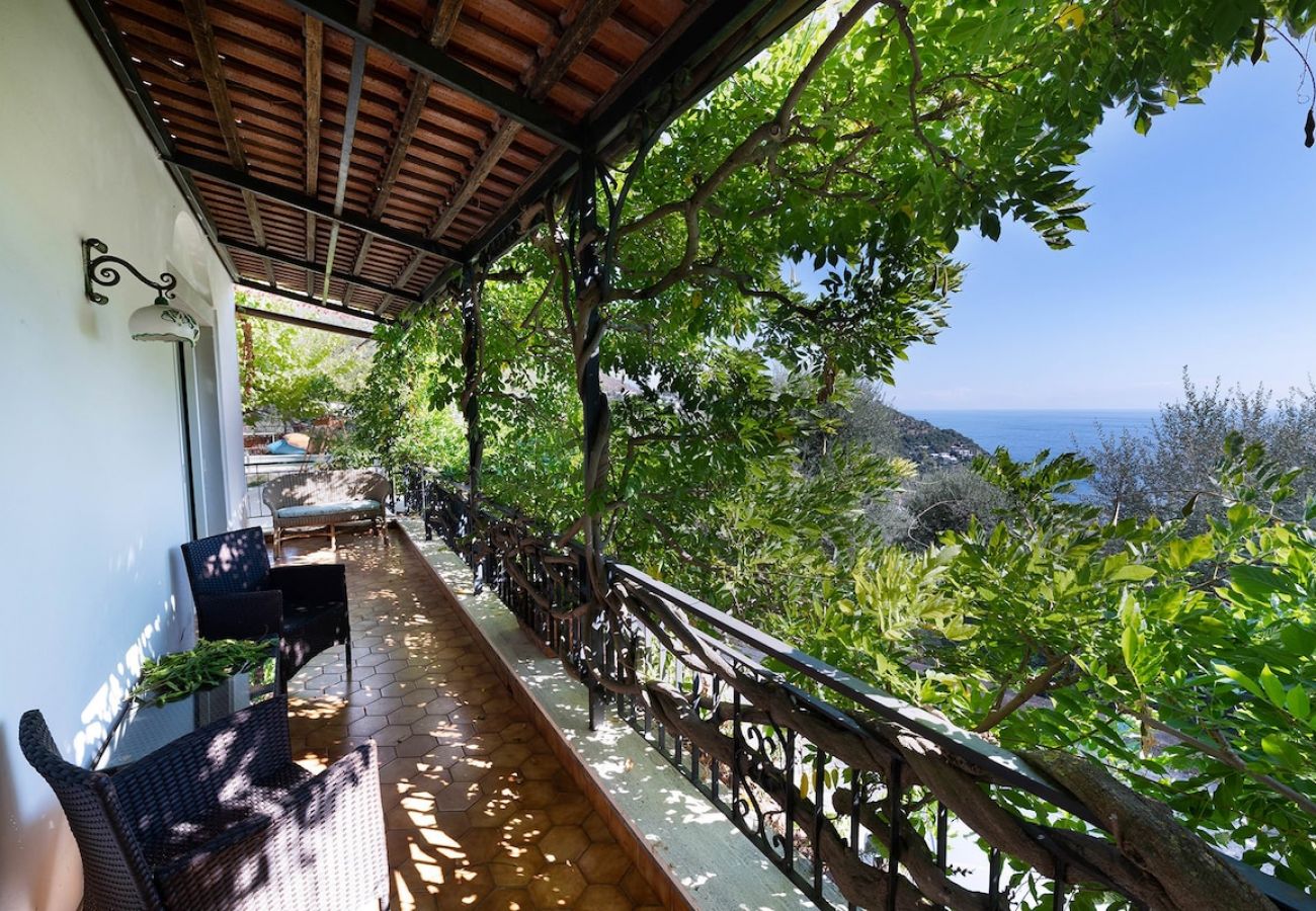 Villa a Nerano - Villa Marinella close to the sea with private pool