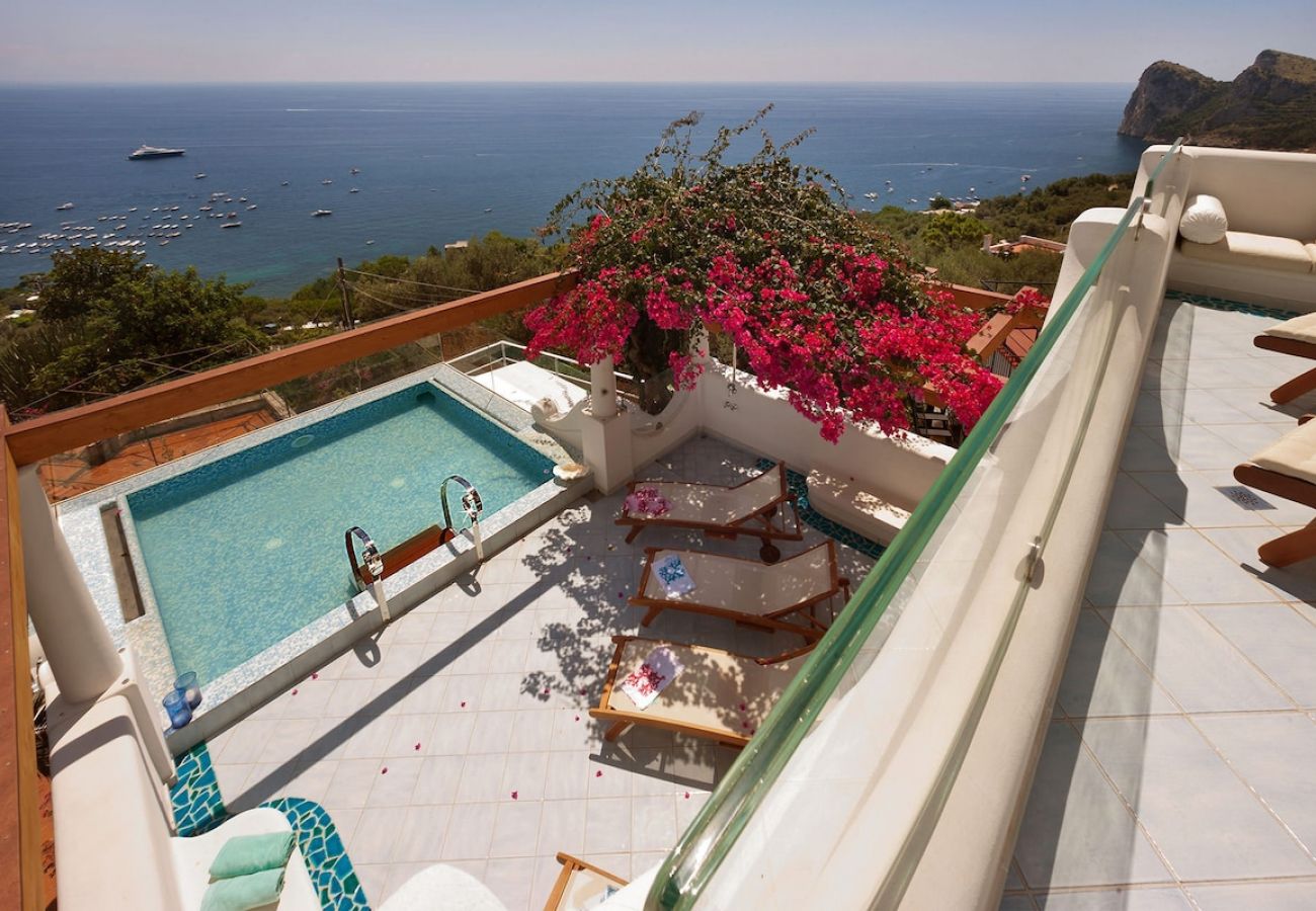 Villa a Nerano - Villa Torres with private pool and amazing sea vie