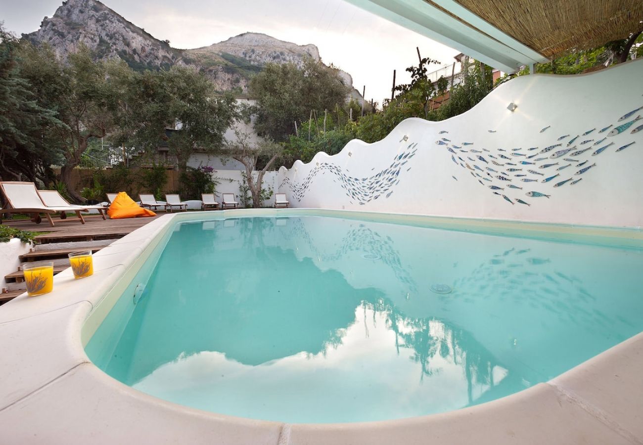 Villa a Nerano - Villa Torres with private pool and amazing sea vie