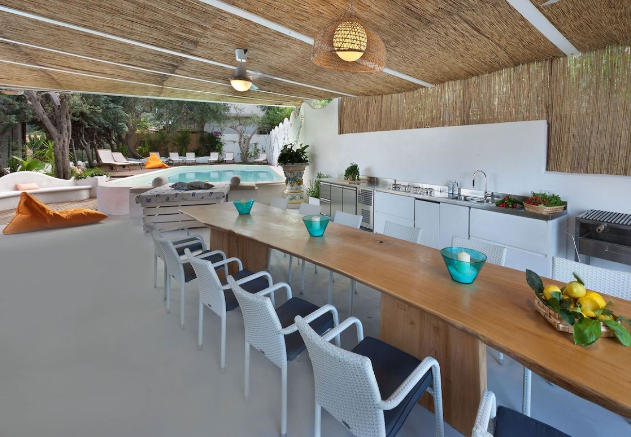 Villa a Nerano - Villa Torres with private pool and amazing sea vie