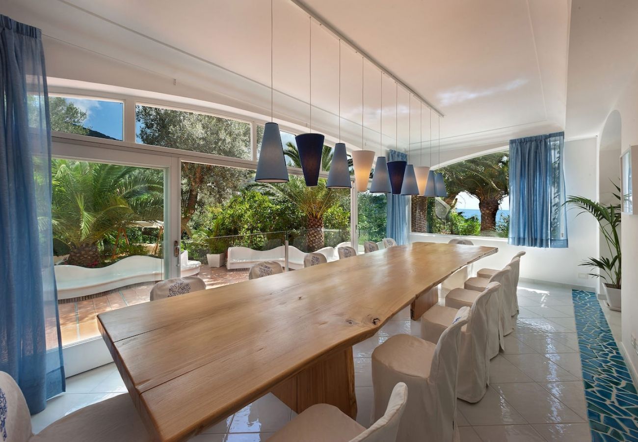 Villa a Nerano - Villa Torres with private pool and amazing sea vie