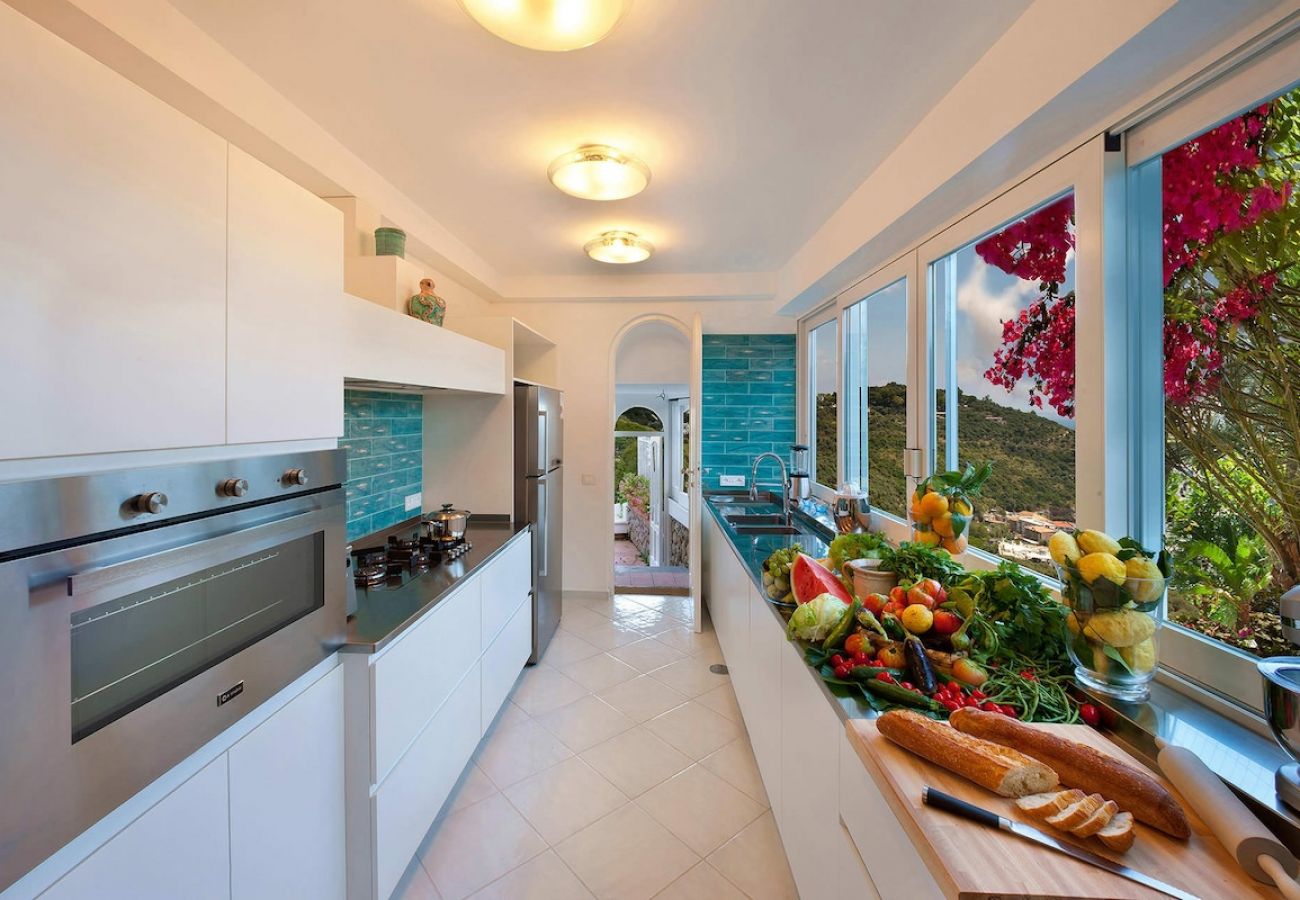 Villa a Nerano - Villa Torres with private pool and amazing sea vie