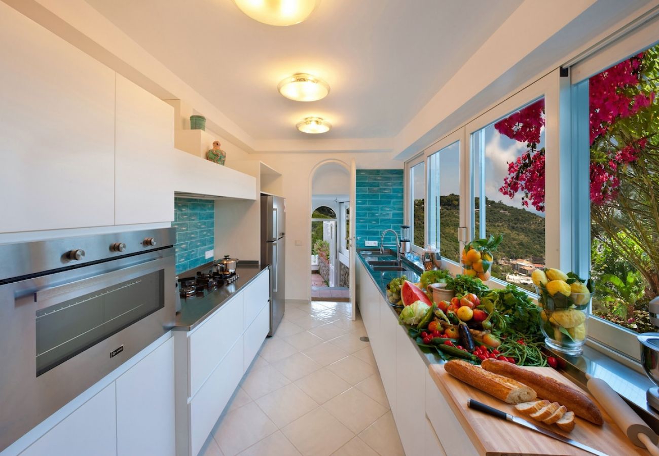 Villa a Nerano - Villa Torres with private pool and amazing sea vie