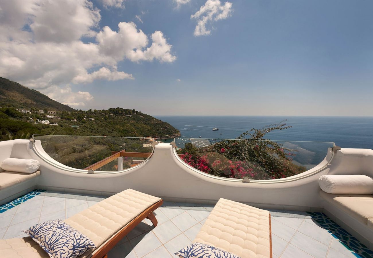 Villa a Nerano - Villa Torres with private pool and amazing sea vie