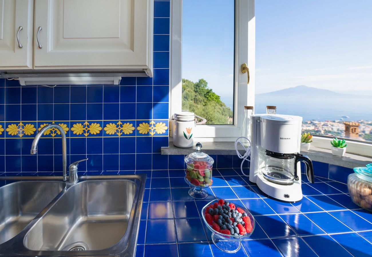 Villa a Sorrento - Villa Pietraluna