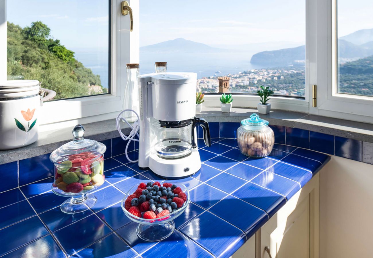 Villa a Sorrento - Villa Pietraluna