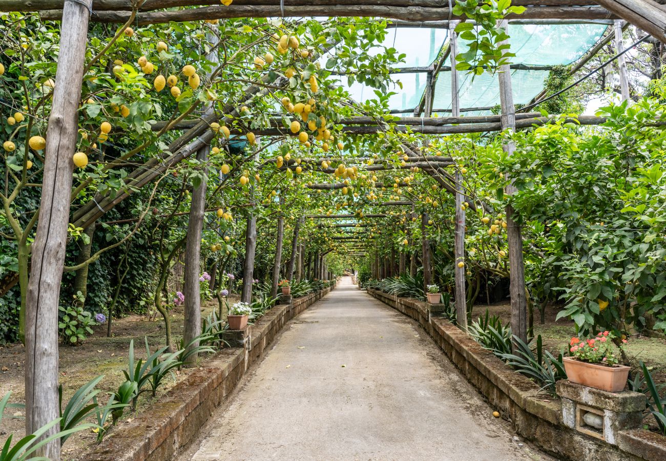 Villa a Sorrento - Romantic Garden luxury villa in the centre