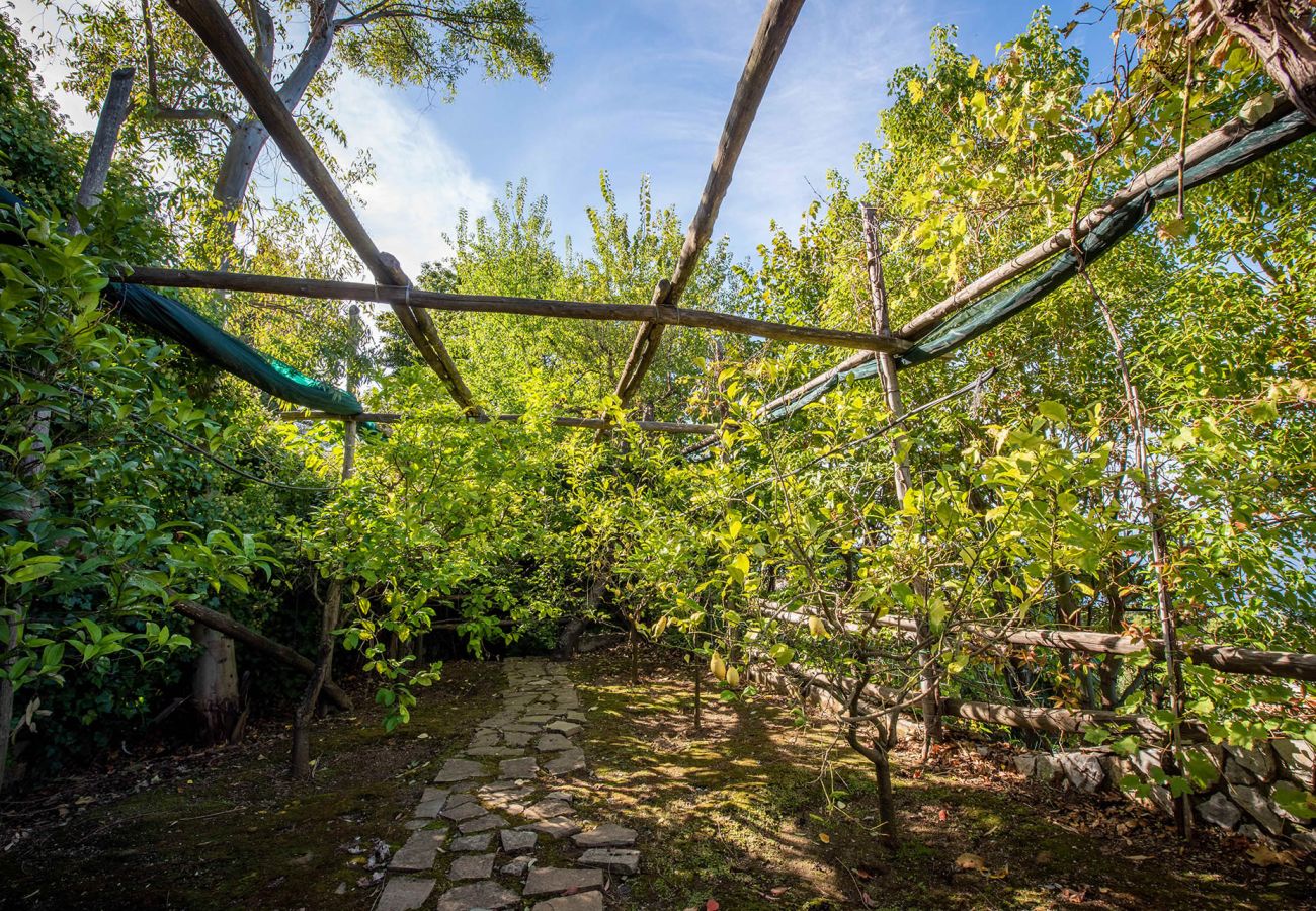 Villa a Sorrento - Casa Angelica