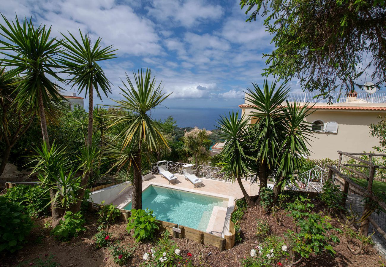Villa a Sorrento - Casa Angelica