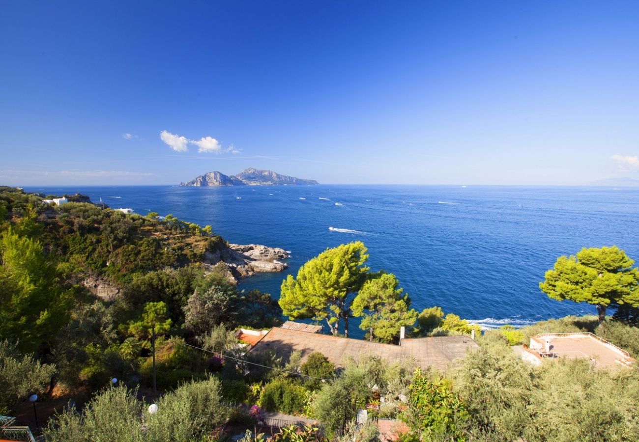 Villa a Massa Lubrense - Villa Mary with magnificent view