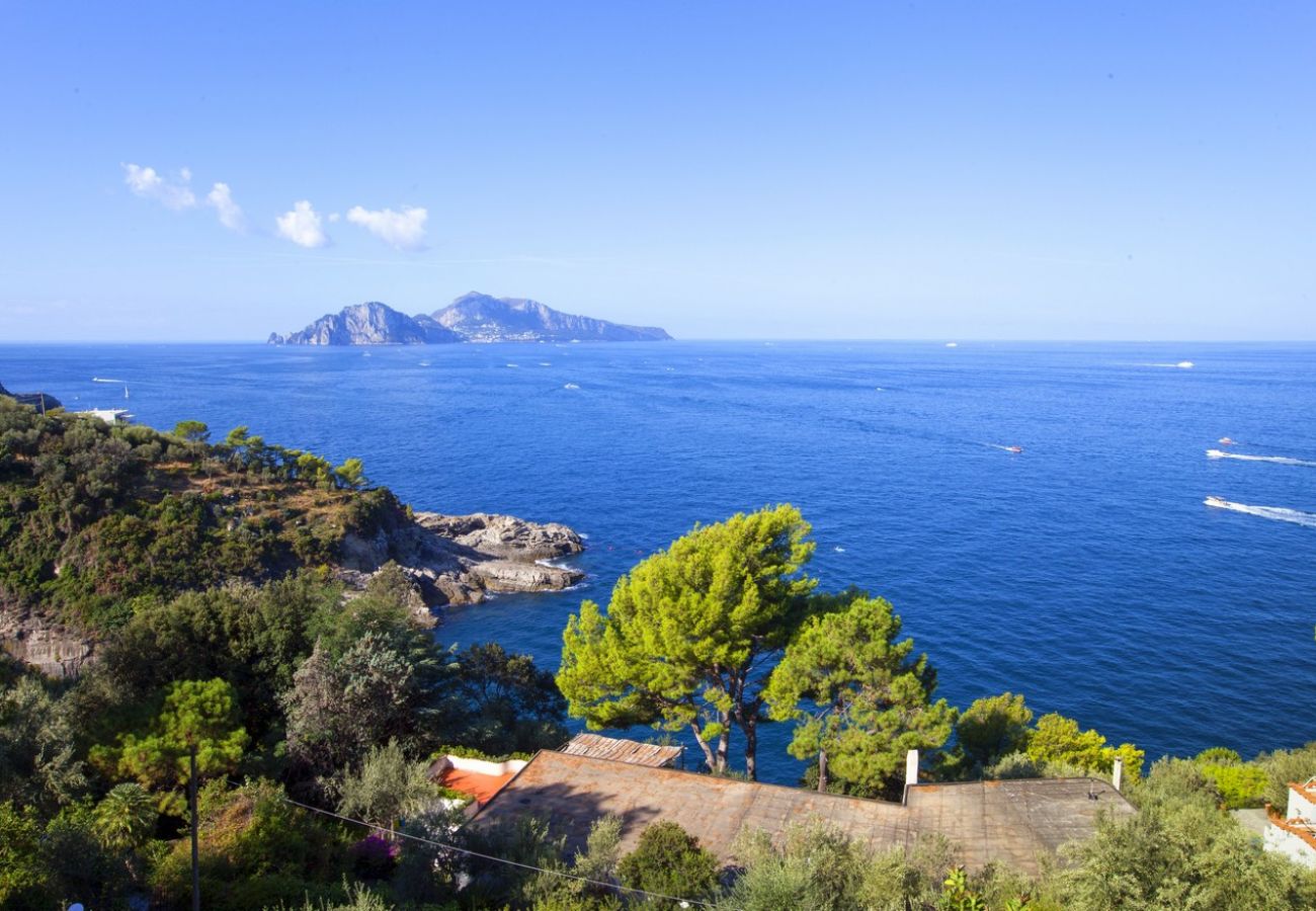 Villa a Massa Lubrense - Villa Mary with magnificent view