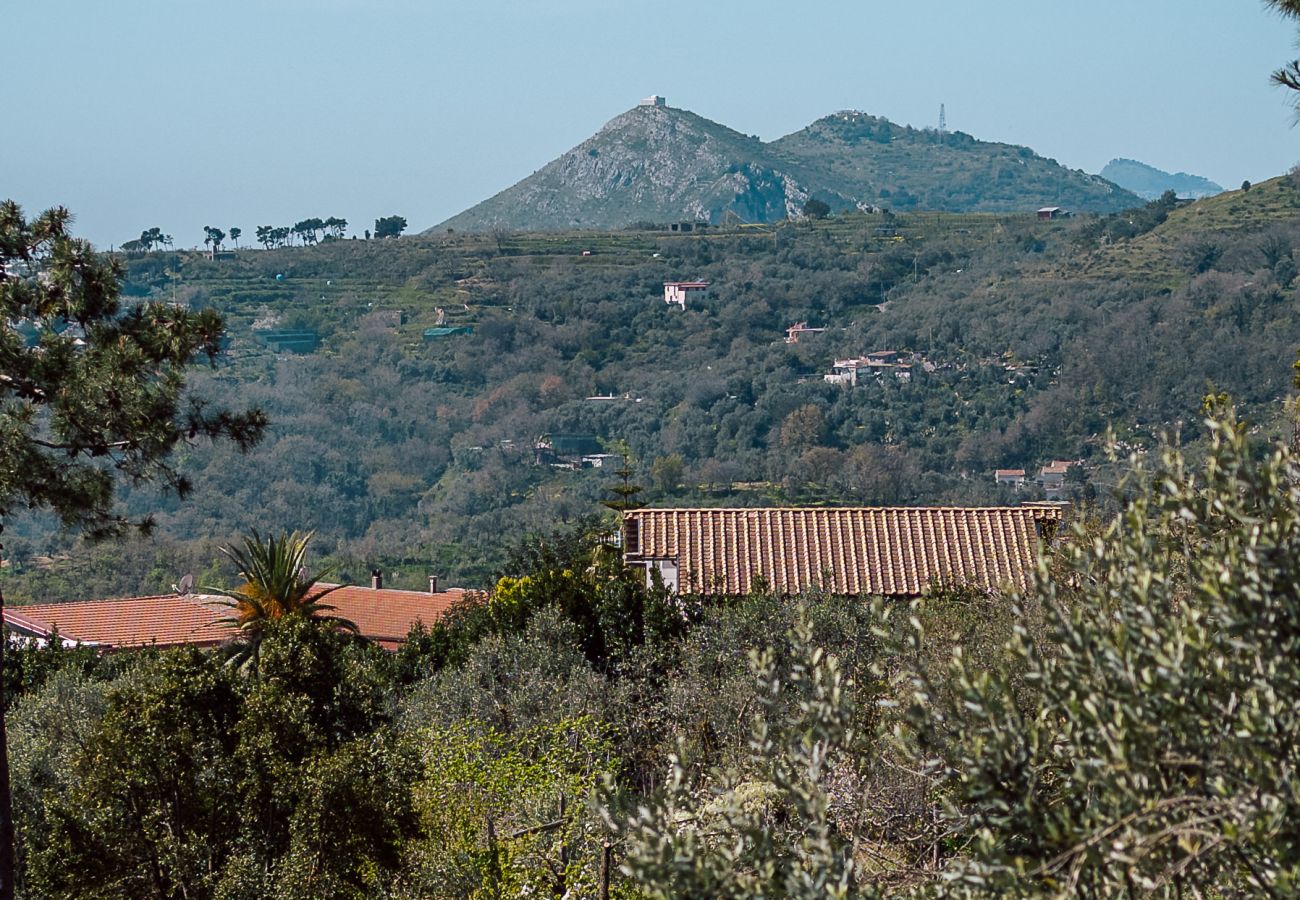 Appartamento a Massa Lubrense - Casa Li Galli with sea view