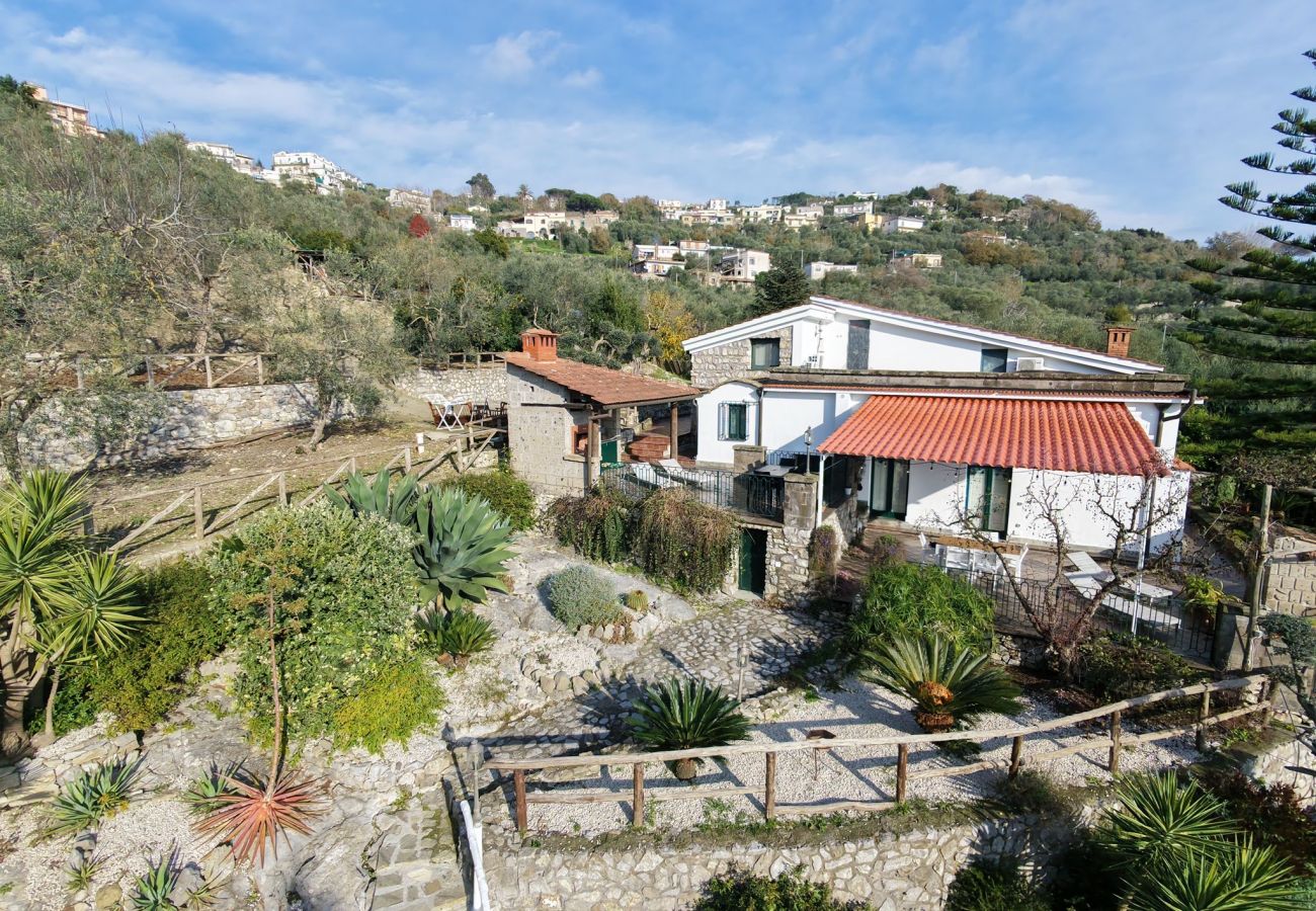 Villa a Massa Lubrense - Dimora delle Birbe