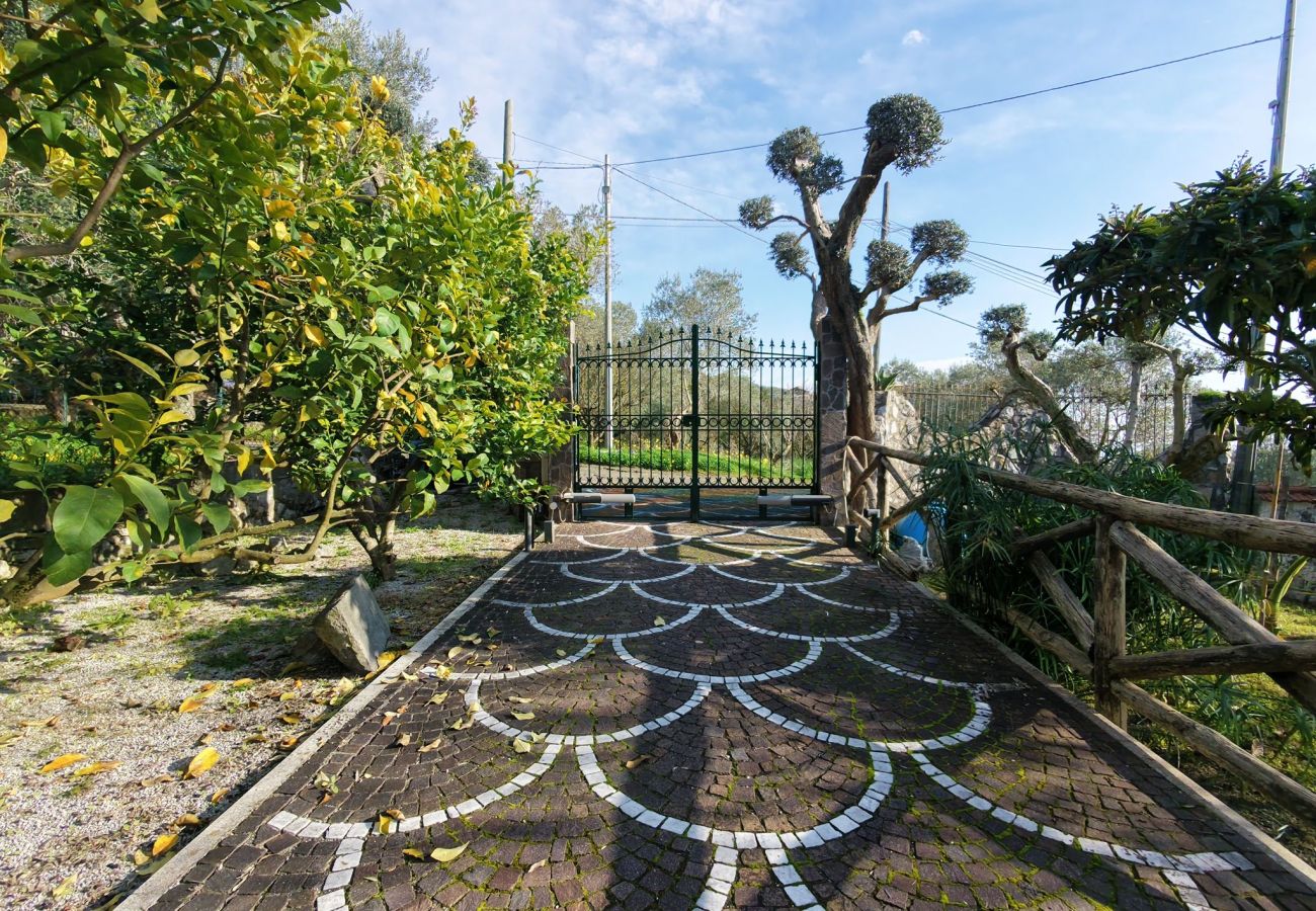 Villa a Massa Lubrense - Dimora delle Birbe