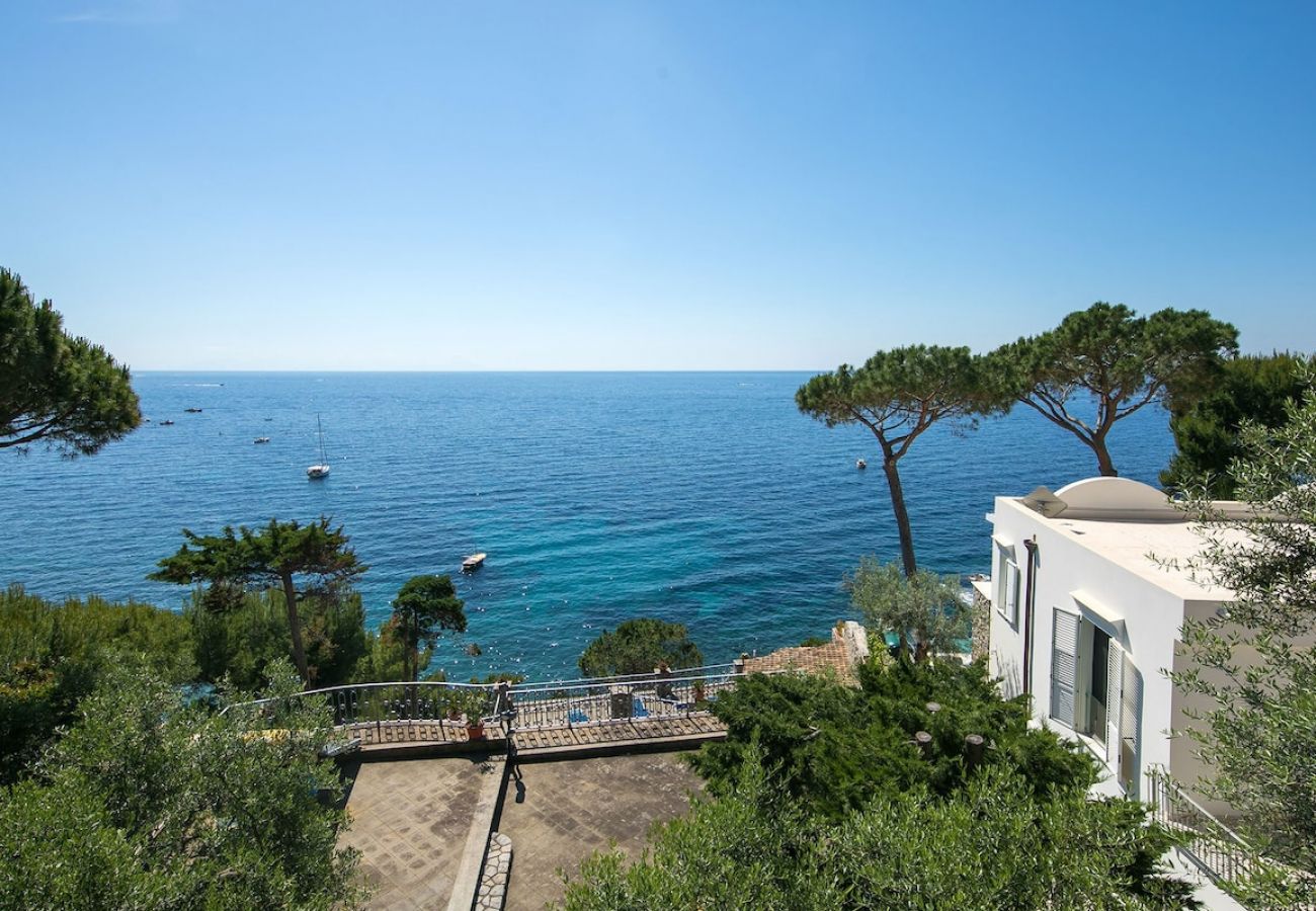 Villa in Nerano - Villa Jeranto on the sea with infinty pool