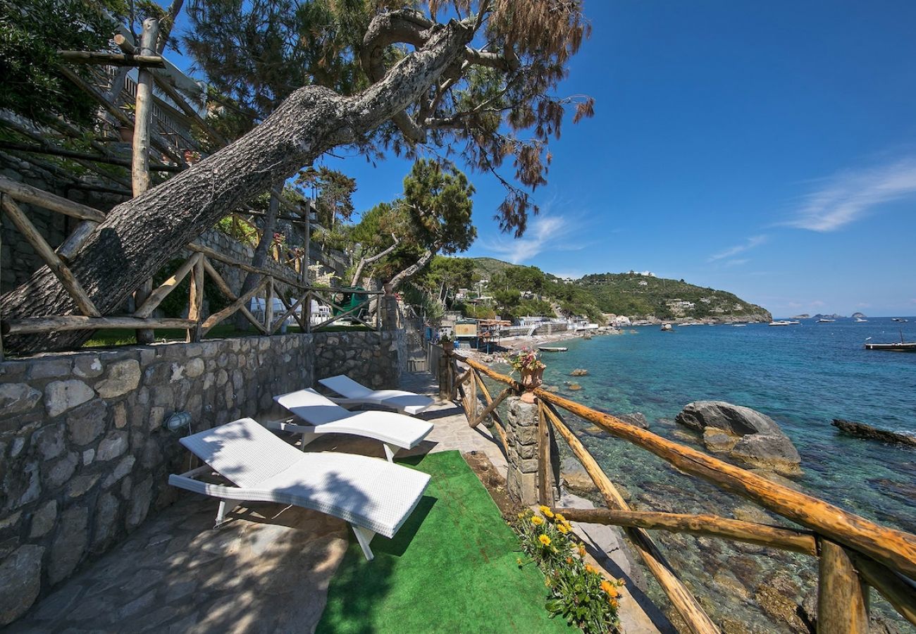 Villa in Nerano - Villa Jeranto on the sea with infinty pool