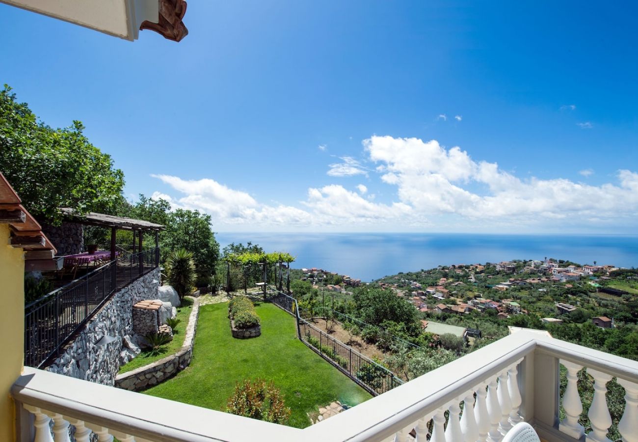 Villa in Massa Lubrense - Villa Turtle with sea view and  private pool