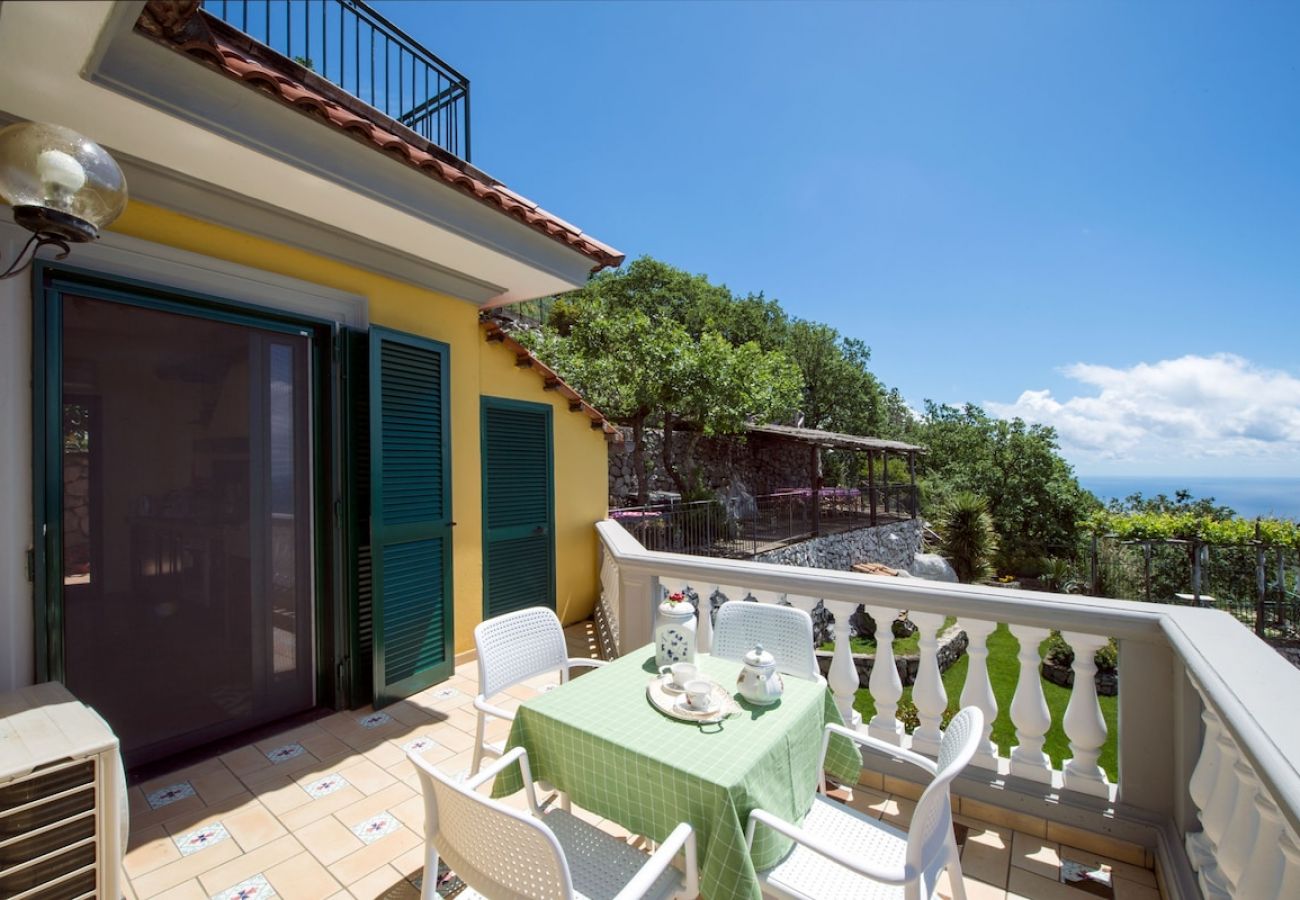 Villa in Massa Lubrense - Villa Turtle with sea view and  private pool