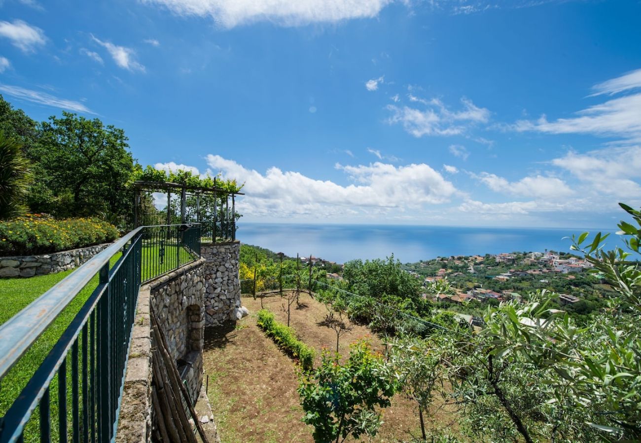 Villa in Massa Lubrense - Villa Turtle with sea view and  private pool