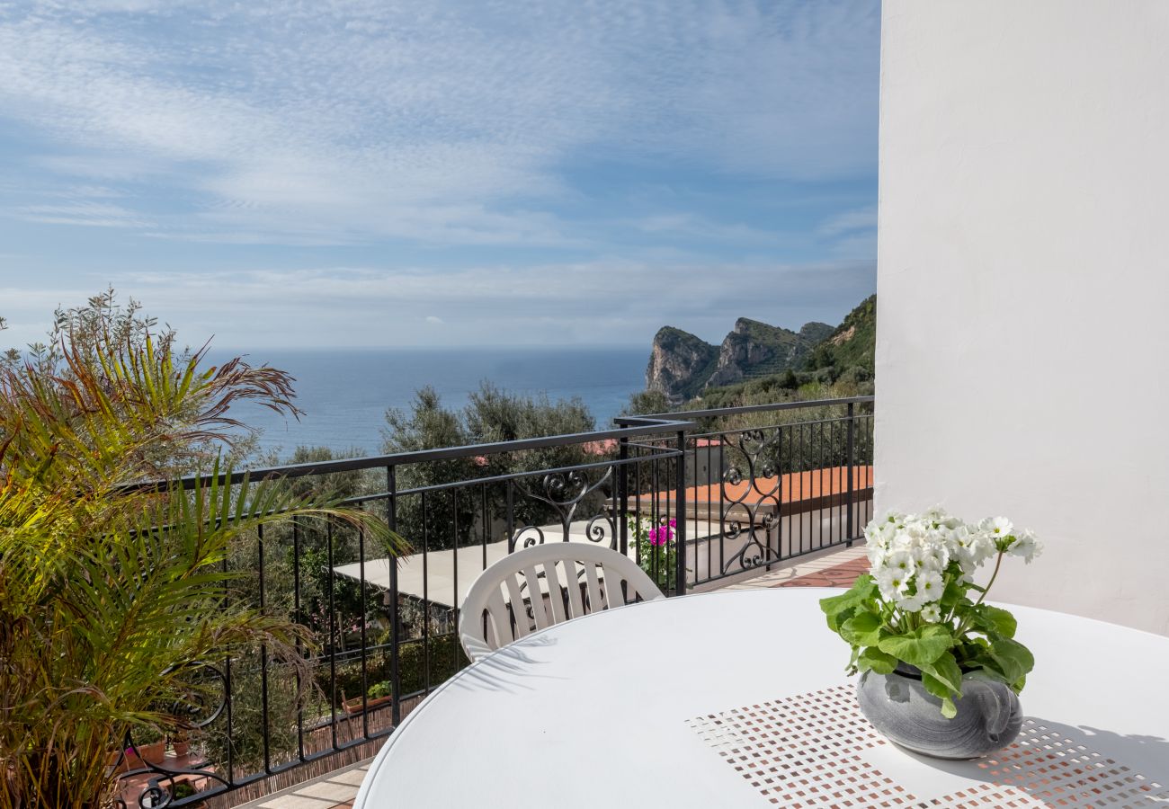 Apartment in Massa Lubrense - Matisse Cantone