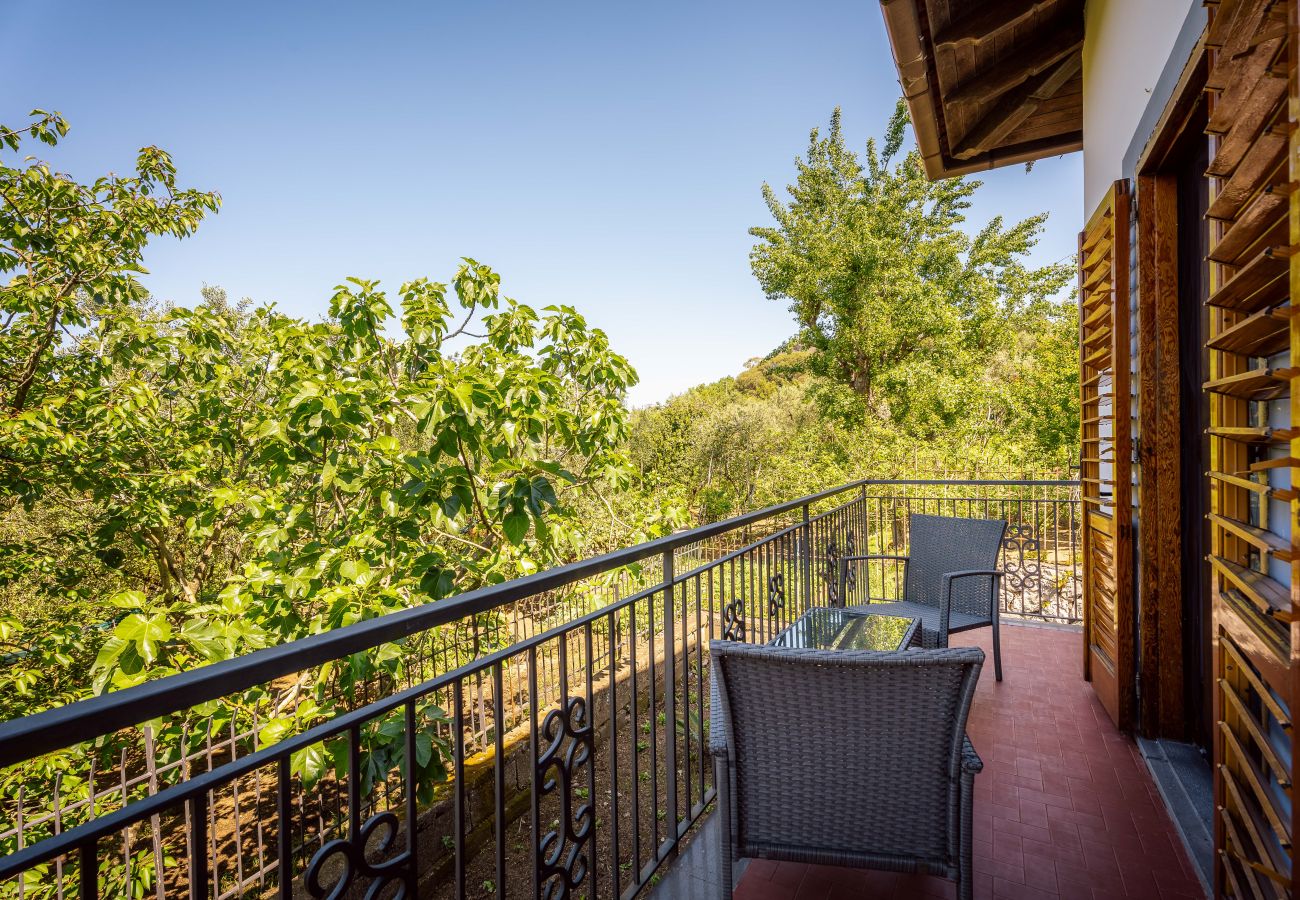 Villa in Massa Lubrense - Villa Barby