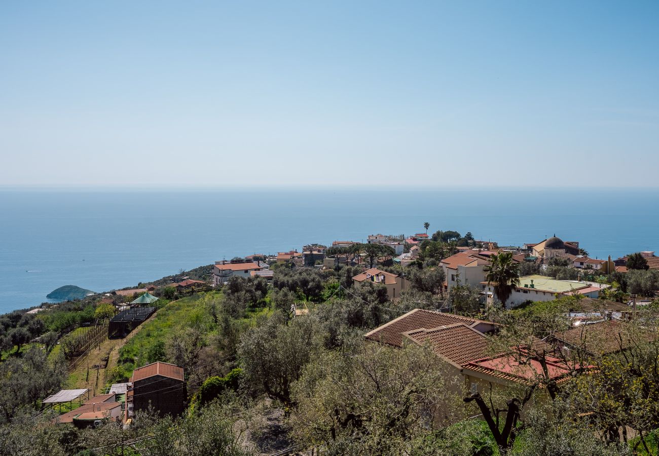 Apartment in Massa Lubrense - Casa Li Galli with sea view