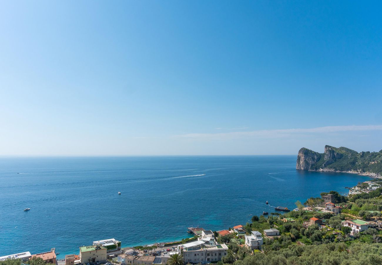 Villa in Nerano - Villa Helena close to the sea
